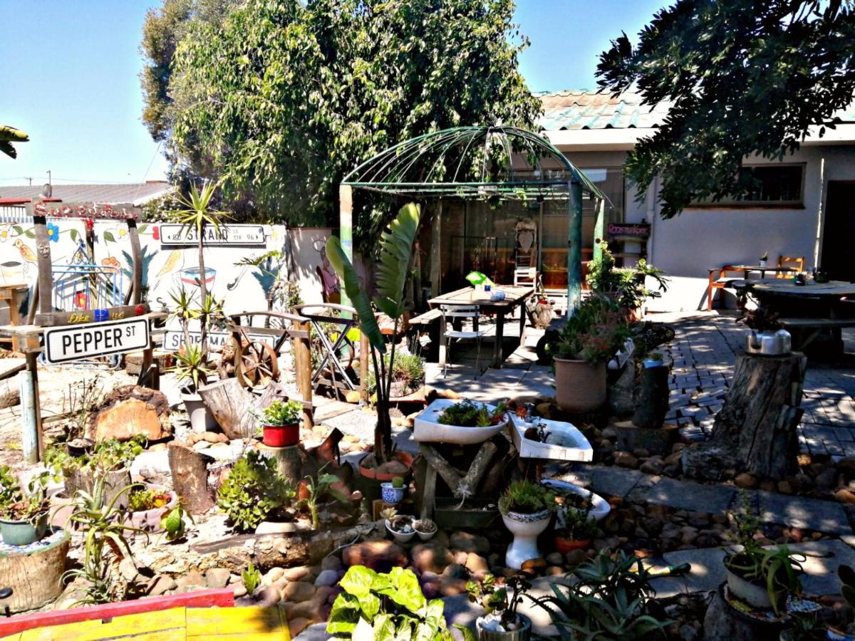 Suzie'S Coffee Shop Accommodation بيل فيل المظهر الخارجي الصورة
